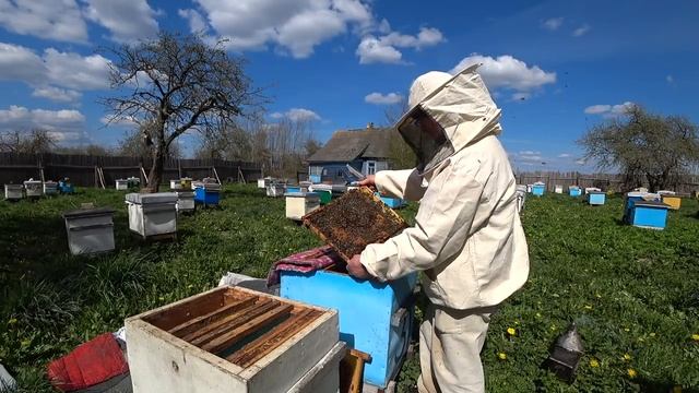 Делаем отводки. Пасека Лаврова