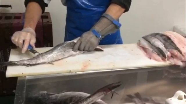 Hake fish filleting. Fish factory in Ireland. Разделка рыбы Хек смотреть онлайн