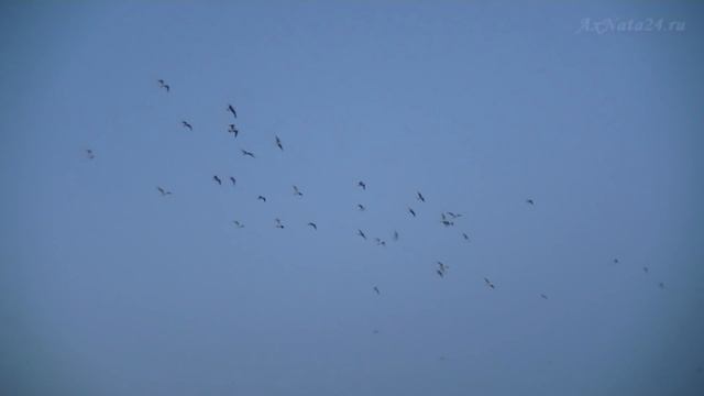 Восход солнца над Каспием. Азербайджан. Новханы смотреть онлайн