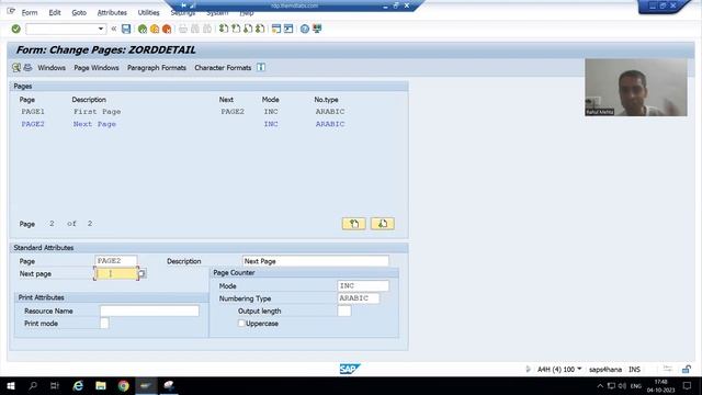 12 SAP Scripts Creation of Next Page смотреть онлайн