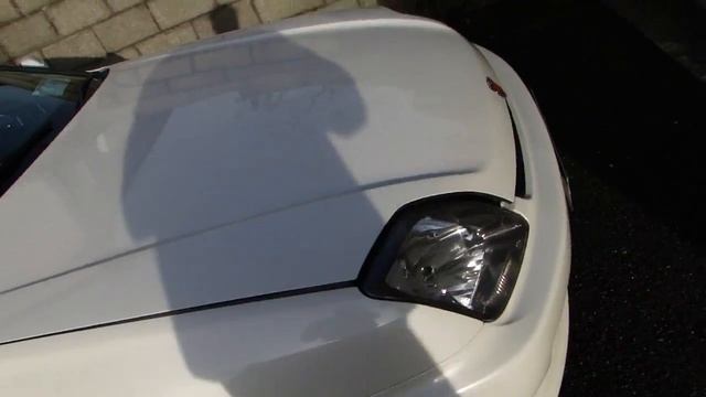 My jdm honda prelude type S- updated! смотреть онлайн