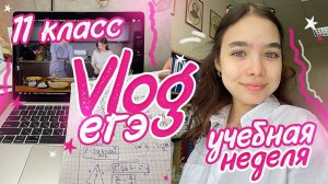 Vlog  НОВОСТИ из ЖИЗНИ / ЕГЭ и много учебы / Мой выходной