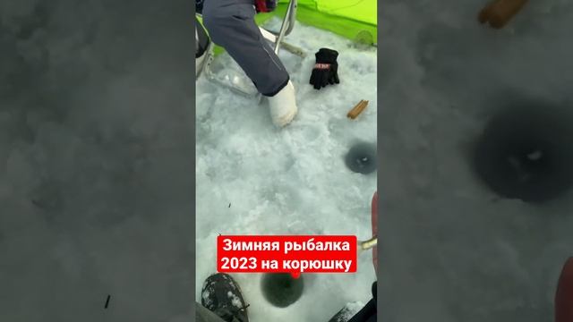 Зимняя рыбалка 2023 на корюшку маларотку на острове Сахалин. Клев бомба ? попробуй поймай свою! смотреть онлайн