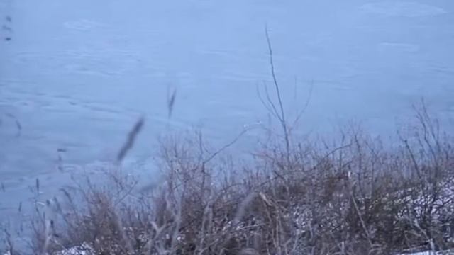 Татьяна Петрова «В минуты музыки печальной» сл. Н. Рубцов, муз. А. Висков смотреть онлайн