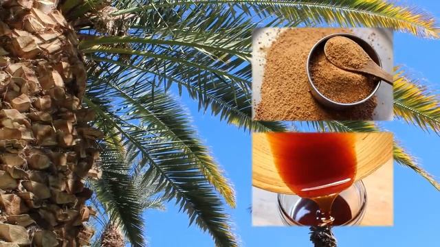 ЧТО БУДЕТ ЕСЛИ ЕСТЬ ФИНИКИ КАЖДЫЙ ДЕНЬ? смотреть онлайн