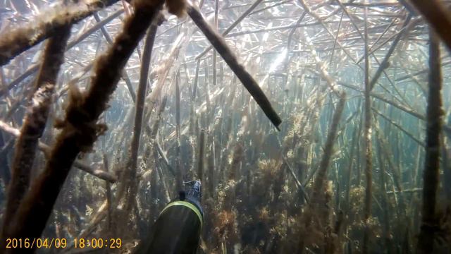 подводная охота смотреть онлайн