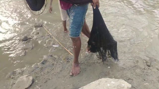 Cast Net Fishing | Traditional Catching Fish With A Cast Net By Beautiful Village Woman (Part-11) смотреть онлайн