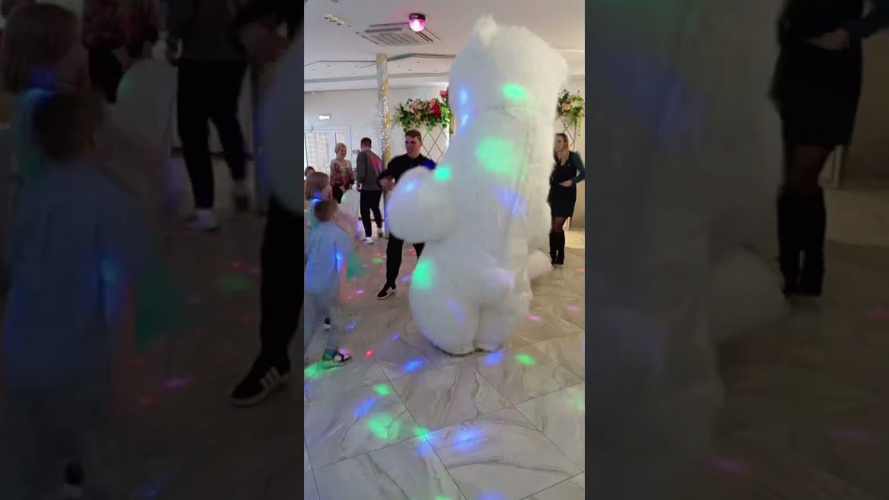 медведь танцует смотреть онлайн