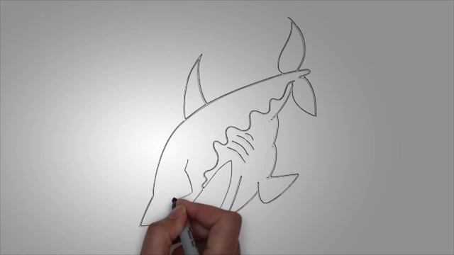 Картинки акулы. КАК НАРИСОВАТЬ АКУЛУ карандашом смотреть онлайн