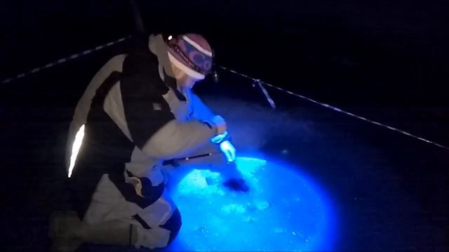 Утренние поимки форели со льда. Клёвое место, Лосиный остров. смотреть онлайн