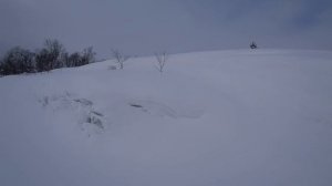 Скандик 900 АСЕ  в поисках  Лося))