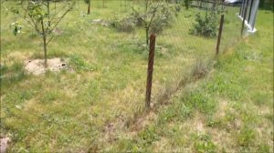 Забор из сетки-рабица, разница между 2 и 3 мм. Установка забора из сетки рабица.