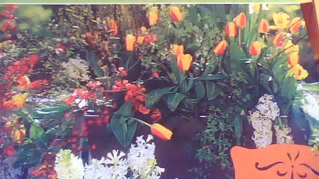 Видео с веб-камеры. Дата: 13 марта 2013 г., 1:35. смотреть онлайн