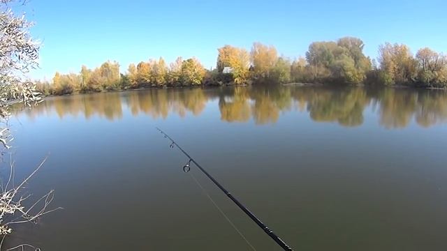 XUL ловля сплит шот крупный карась на спиннинг смотреть онлайн