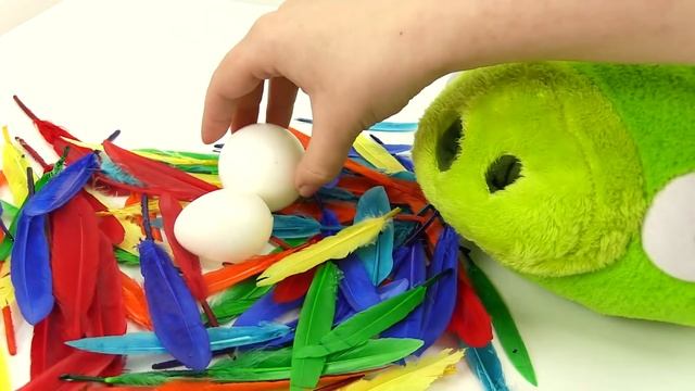 Funny Videos With Toys. Birds & Pigs.