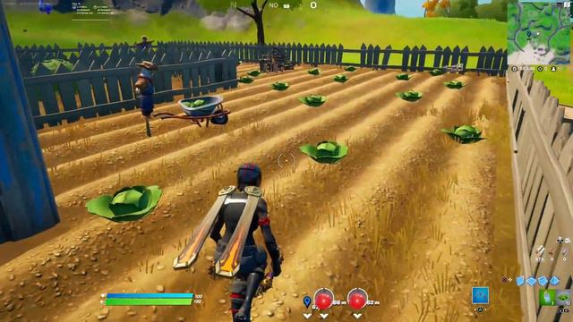 Ernte Früchte und Gemüse Fortnite Aufgabe Woche 14 - Season 5 - Ixxmade смотреть онлайн