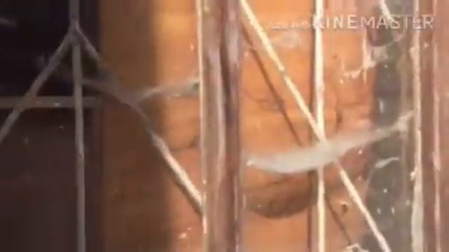 VLOG заброшенный санаторий/почему так много людей? смотреть онлайн