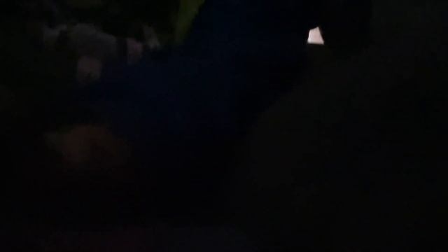 Ливан Часть 22: Подземная река в Гроте Джейта смотреть онлайн