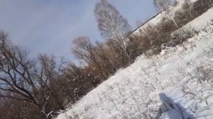 Охота с рогаткой на ворон, Hunting with a slingshot on crows