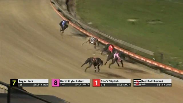 Horse, Greyhound and Harness Race- Punter Fails- 05/08/2023 смотреть онлайн