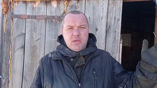 Беседа о выгоде свиноводства смотреть онлайн