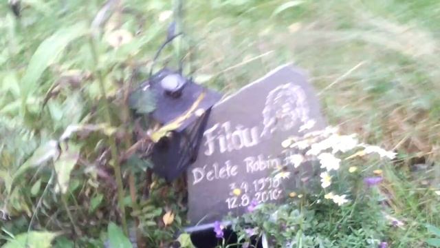 Pietarsaari Pet Cemetery смотреть онлайн