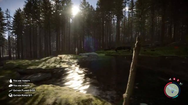Sons Of Forest Tomfoolery 2 смотреть онлайн