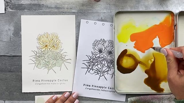 How to paint a flower,watercolor & ink:Beginner/easy painting tutorial.Step-by-step Pineapple Cactu смотреть онлайн