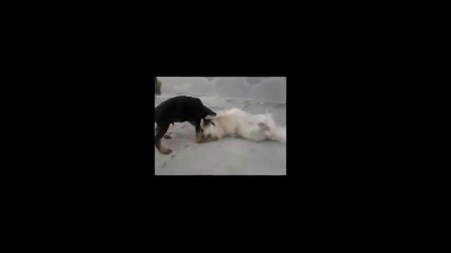 Борьба добра и зла смотреть онлайн