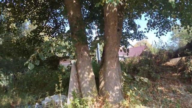 Селёдочка в зиму с овощами, пальчики оближешь!Птичка кайфует от уходящего лета. смотреть онлайн