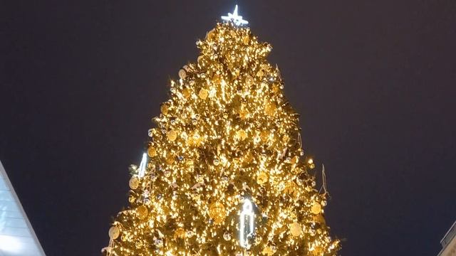 Самая ДОРОГАЯ ЁЛКА Украины в центре ДНЕПРА/Most EXPENSIVE CHRISTMAS TREE in Ukraine in DNIPRO city смотреть онлайн