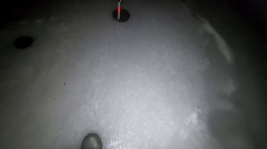 За ЩУКАМИ на ЖЕРЛИЦЫ в НОЧЬ со СВЕТЛЯЧКАМИ. Зимняя рыбалка на жерлицы