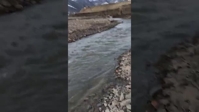 Дагестан.Бодрое утро и прогулка вместо зарядки?? #shorts #dagestan #дагестан #прогулка смотреть онлайн