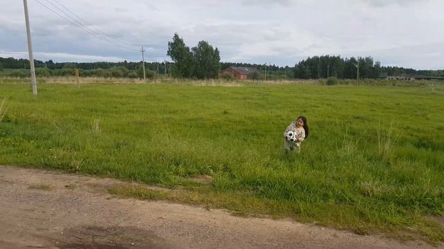 ПРИВЕЗЛИ НАЧАЛО ЕСТЬ! смотреть онлайн