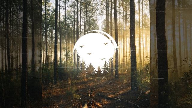 Fading Too Soon смотреть онлайн