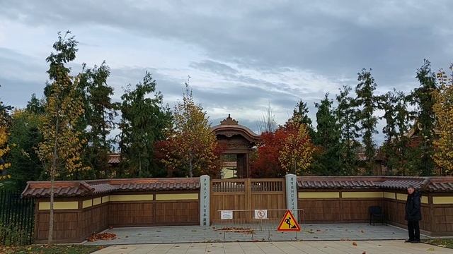 Деревья на зиму закрывают в капсулы /Японский сад / смотреть онлайн