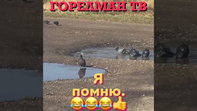 22 апреля. День Рождения ЛЕНИНА. смотреть онлайн