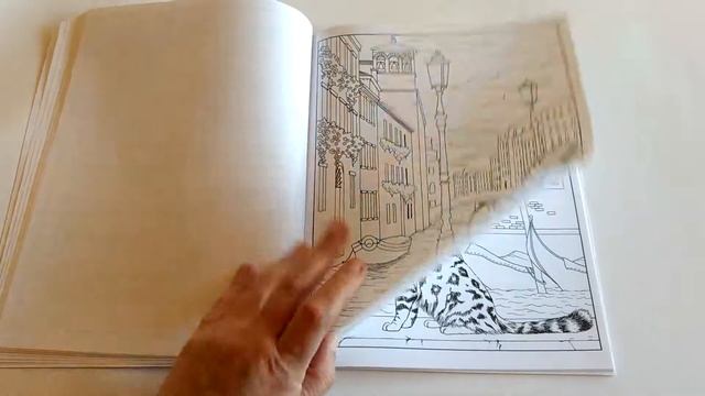 Cats in Venice: Coloring book for adults Flip Through смотреть онлайн