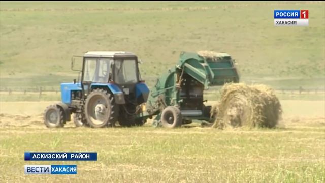 В районах Хакасии начался сенокос. 02.06.2018 смотреть онлайн