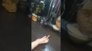 Кошмар! Вредный ребенок орет, кидает ложки, рыдает и дерется. Bad baby Плохой ребенок Обижает сестр