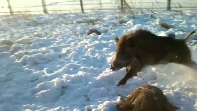 Граф. О том как это было спустя джва года смотреть онлайн