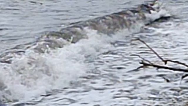1200fps Nikon 1 j5 400fps смотреть онлайн
