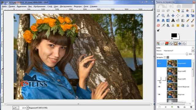 Обработка фотографии в GIMP Тонирование Цветокоррекция Ретушь. Gimp уроки.