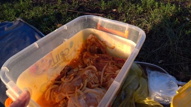 VLOG: КАК ПРИГОТОВИТЬ УЖИН В ЛЕСУ? Шашлык из курицы на решетке. смотреть онлайн