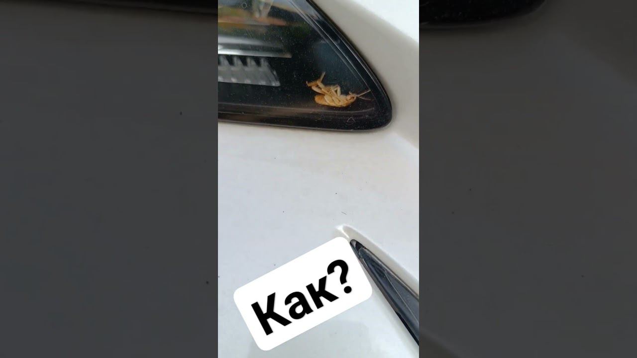 Один вопрос- как? смотреть онлайн