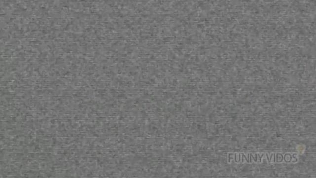 КОШКИ ПРОТИВ ОГУРЦОВ! КОТЫ И ОГУРЦЫ - НОВАЯ СМЕШНАЯ ВИДЕО ПОДБОРКА! смотреть онлайн