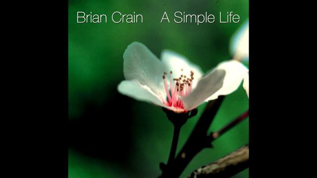 Brian Crain - Butterfly Waltz (Cover) смотреть онлайн