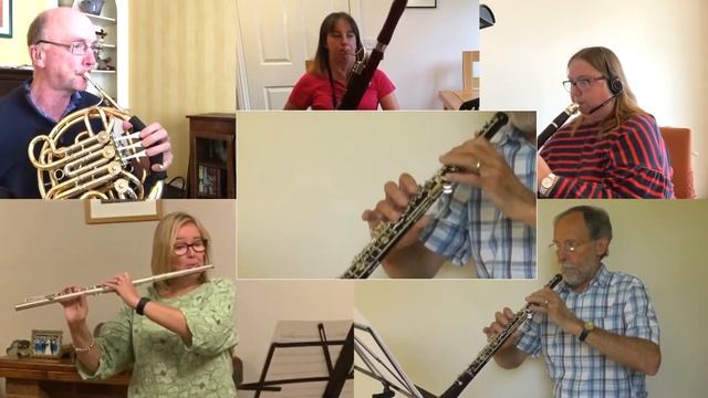 Damen-Souvenir Polka by Johann Strauss, for woodwind quintet. смотреть онлайн