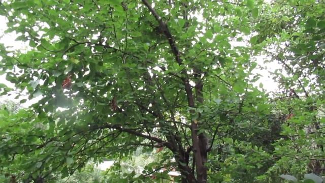 От дороги устав... смотреть онлайн