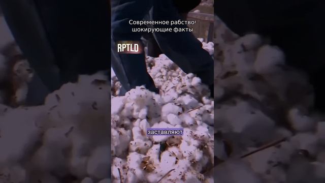 #история #RPTLD #обучение #историческиефакты #богатство #деньги #коучинг #жизнь #титры #дляглухих смотреть онлайн